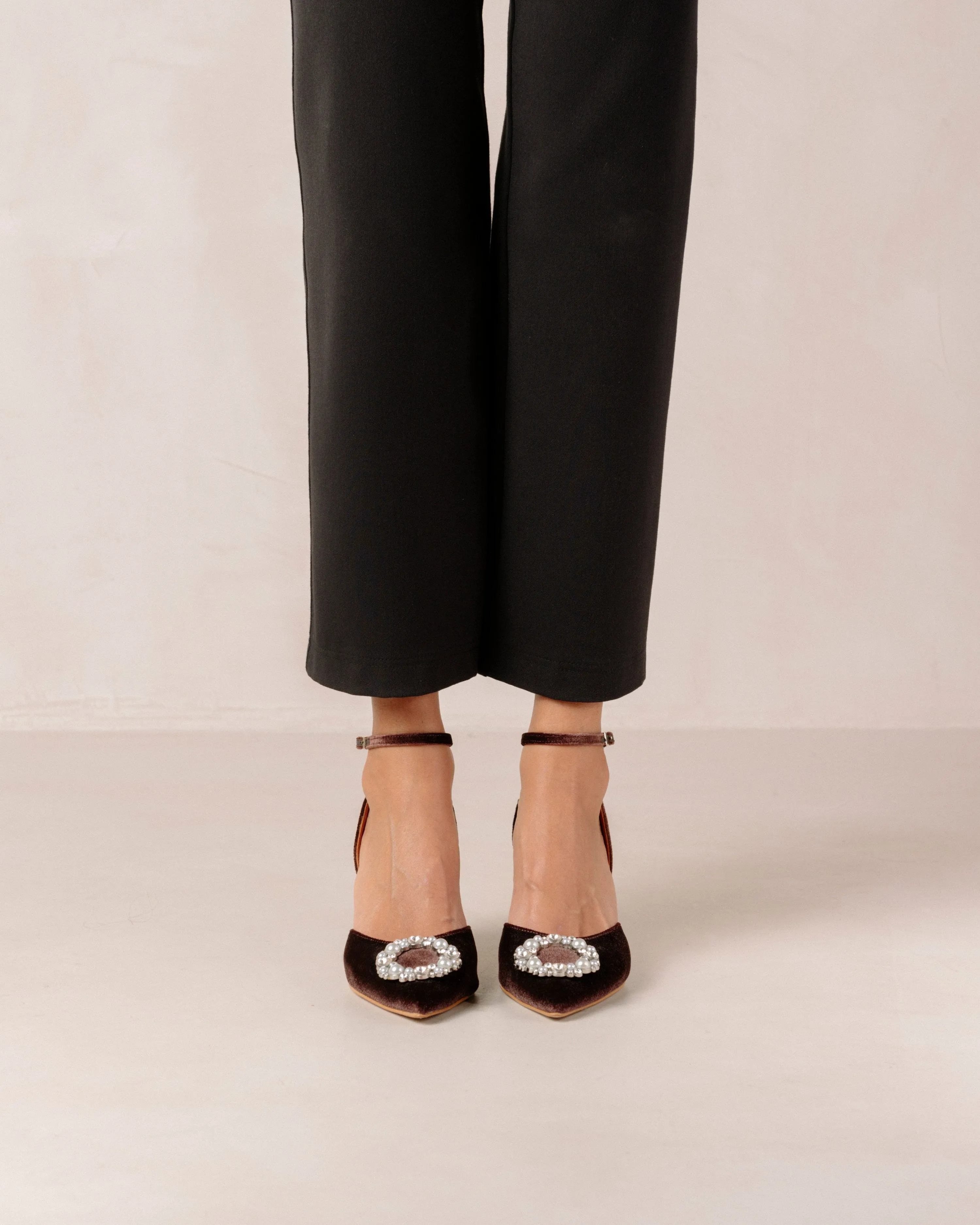 Alohas - Cinderella Crystal Embellished High-Heel Pumps in Velvet Coffee Brown
