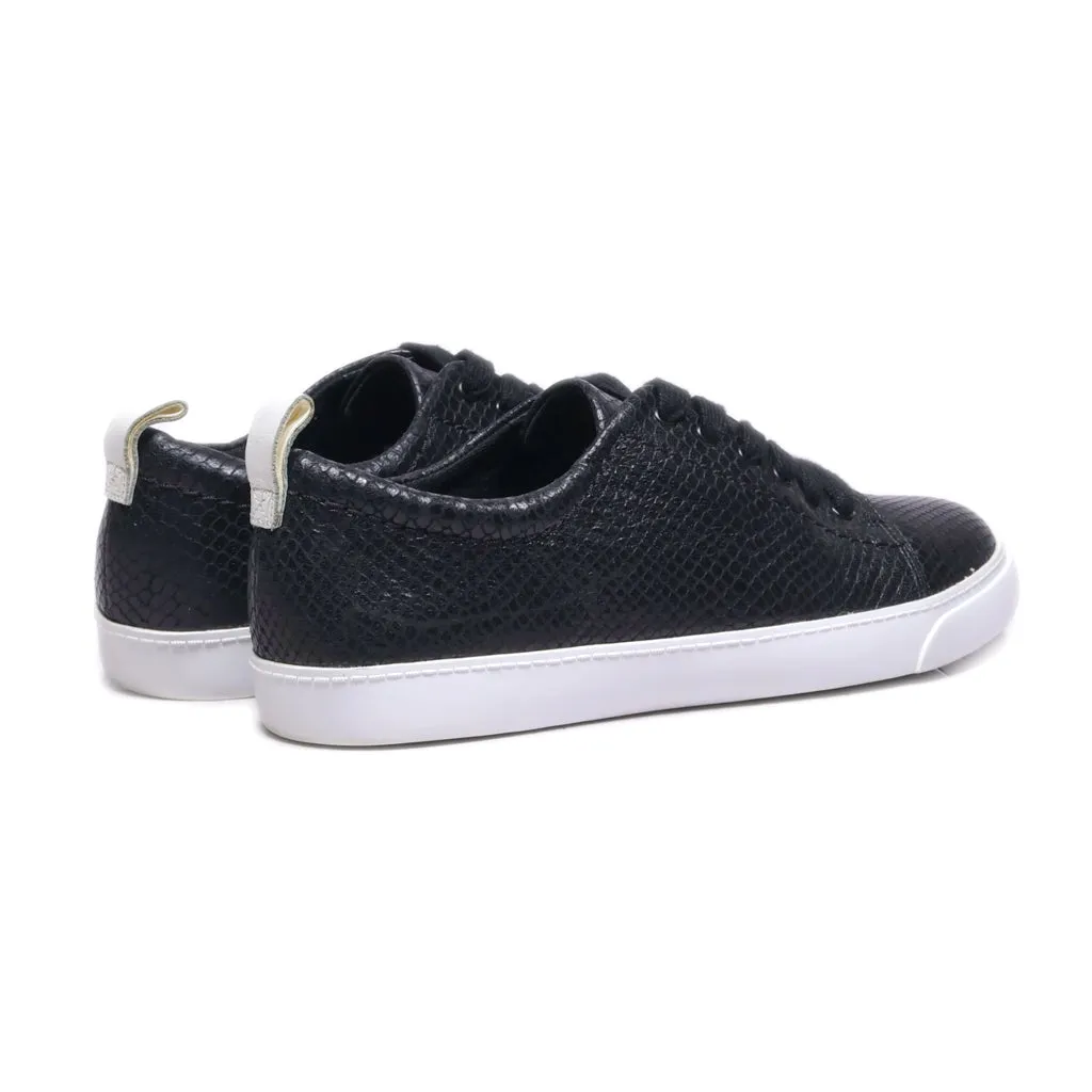 Clarks Glove Echo Low-Top Sneakers Leather Black Colour For Women