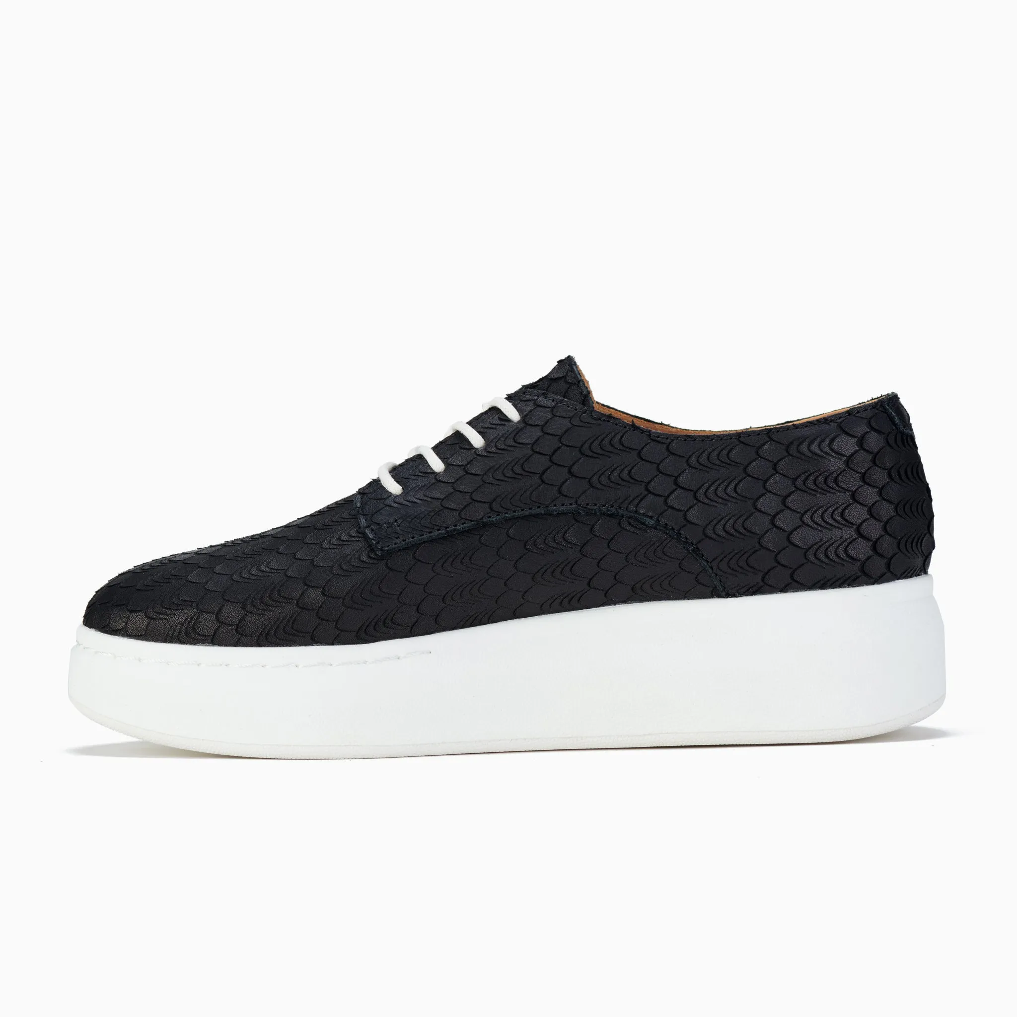 Derby City Black Geo
