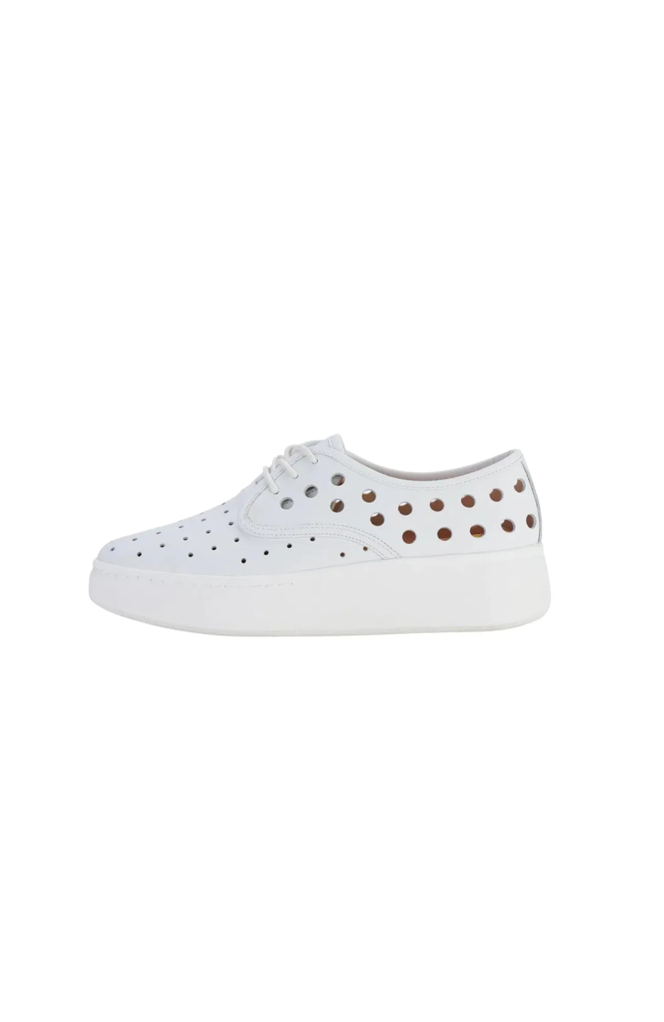 Derby City Circle White