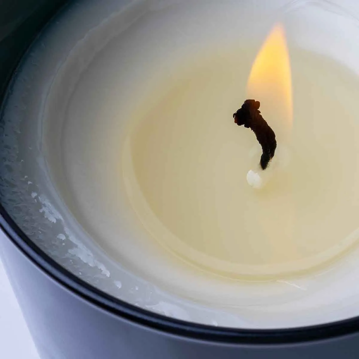 Raw Instinct Candle - 250g