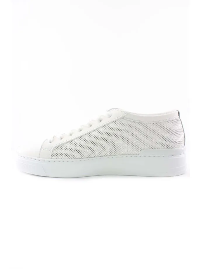 Scarpe sneakers Challenge