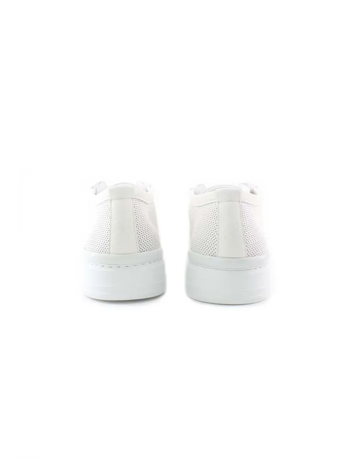 Scarpe sneakers Challenge
