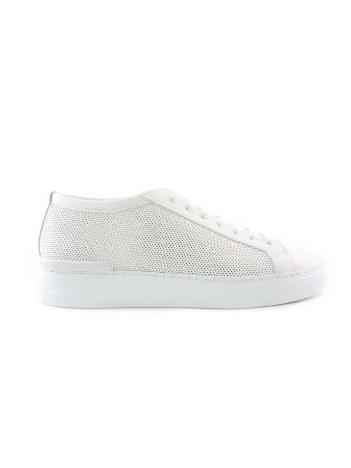 Scarpe sneakers Challenge