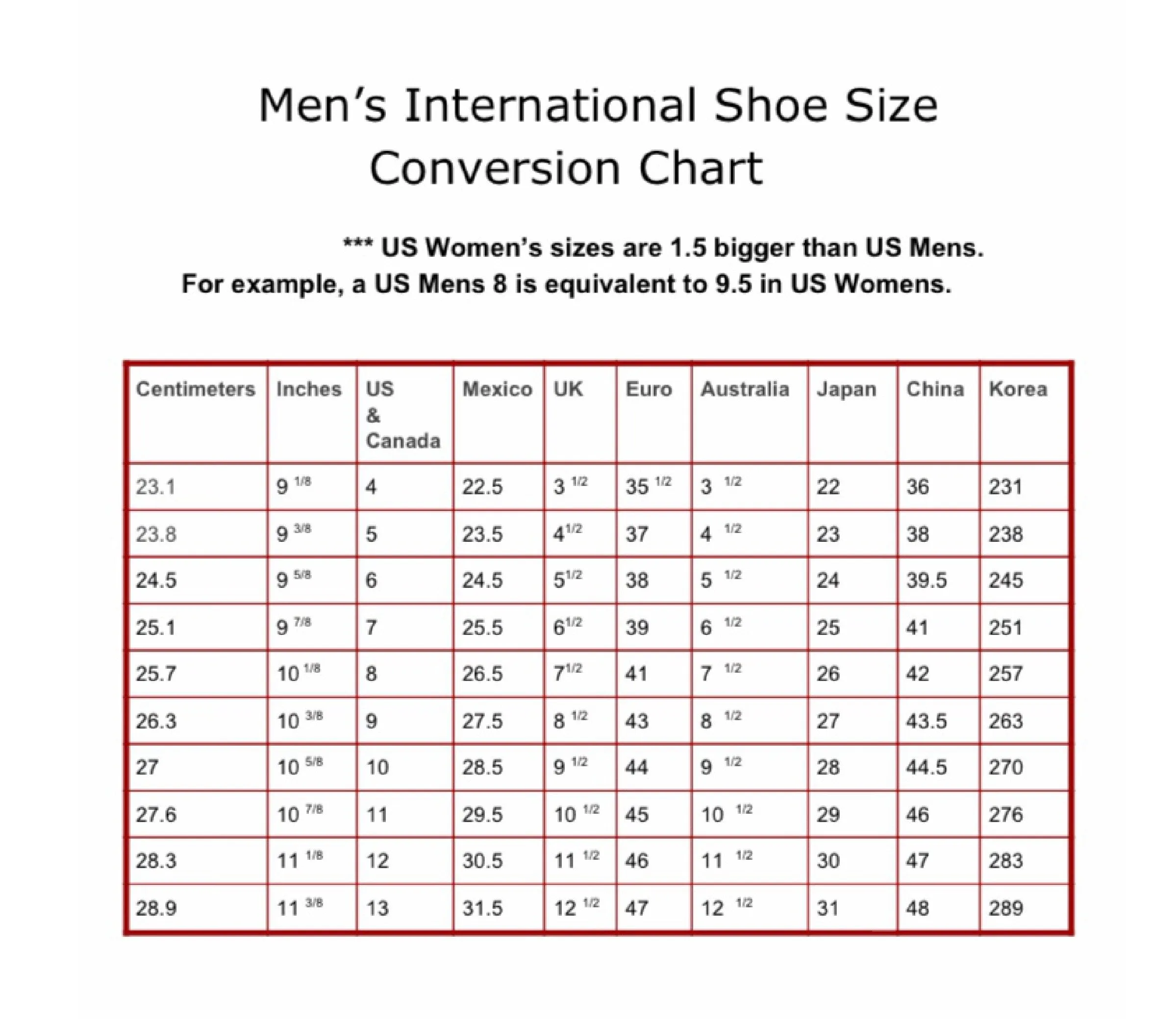 Stallion Footwear - Sport Sneakers