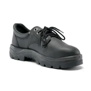 Steel Blue Black Eucla Lace Up Steel Toe Cap Work Shoe (312126) (Pre-Order)