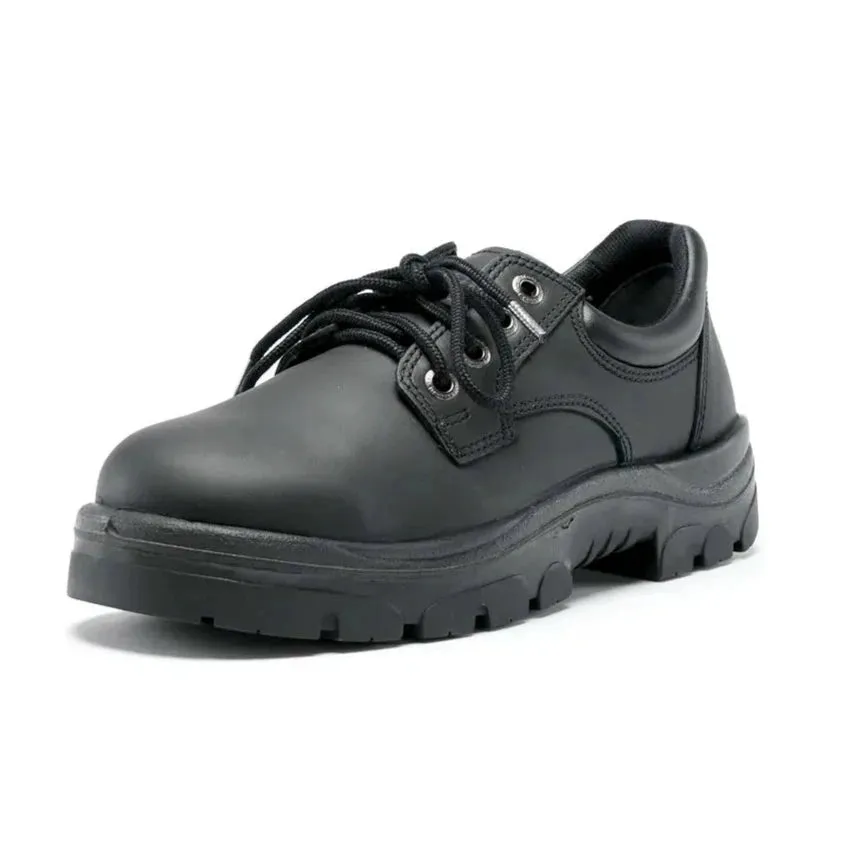Steel Blue Black Eucla Lace Up Steel Toe Cap Work Shoe (312126) (Pre-Order)
